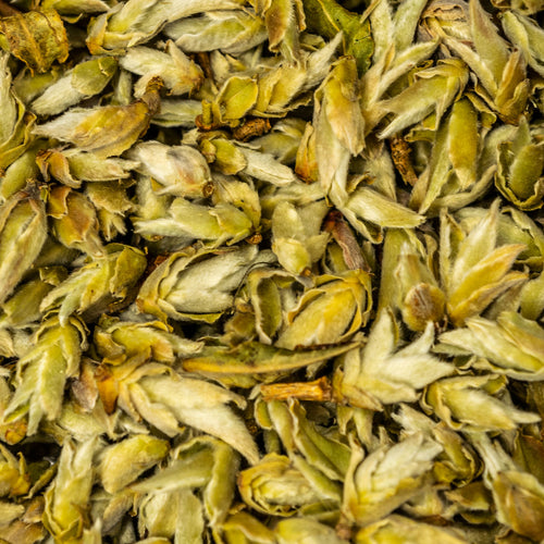 pr142 - Image 1 (original order: 1.jpg)