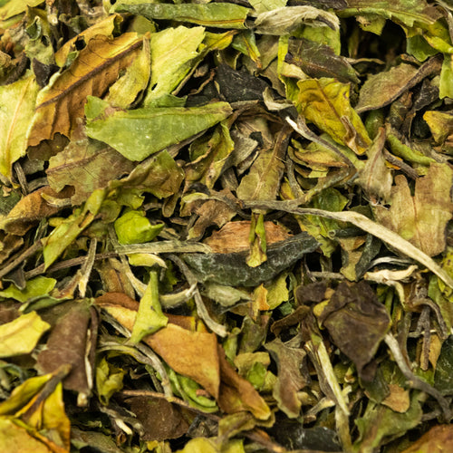 h1 - Image 1 (original order: 1.jpg)