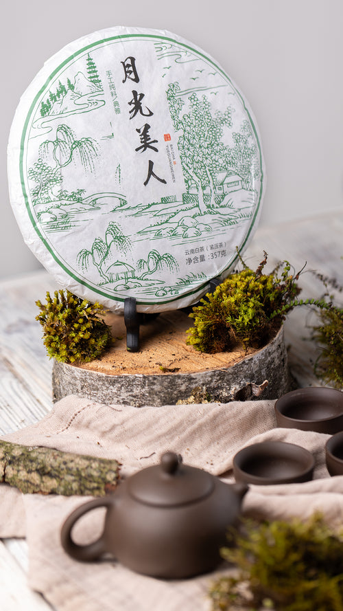 w16 - Image 1 (original order: 1.JPG)