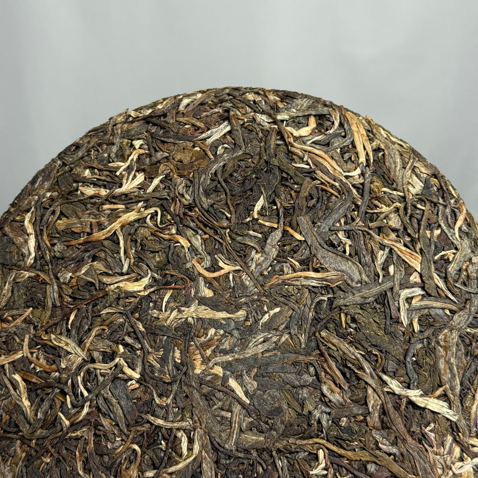 Sheng Pu-erh „Da Xue Shan“, 2015, aus Yunnan