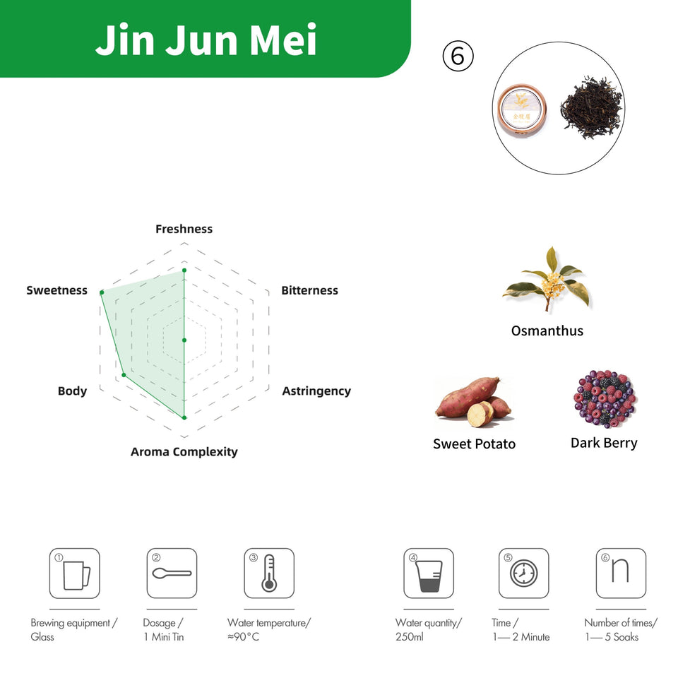 Premium-Tee-Adventskalender – 24 Teesorten Kollektion 2025