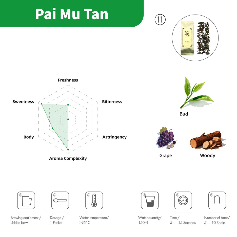 Premium-Tee-Adventskalender – 24 Teesorten Kollektion 2025