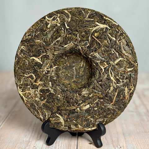 Sheng Pu-erh „Da Xue Shan“, 2015, aus Yunnan