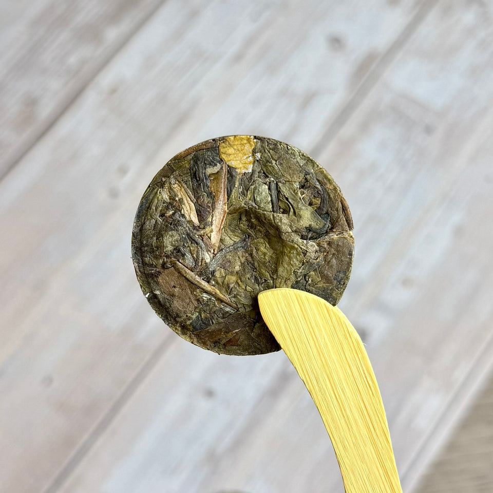 Sheng Pu-erh „Golden Dragon“, aus Yunnan