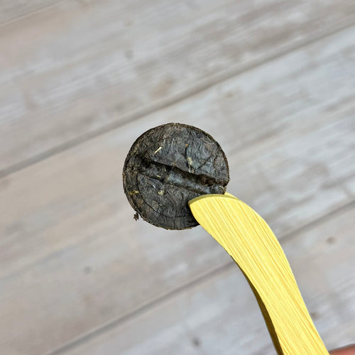 Shou Pu-erh „Jin Zi“ mit Reis, 2019, aus Yunnan