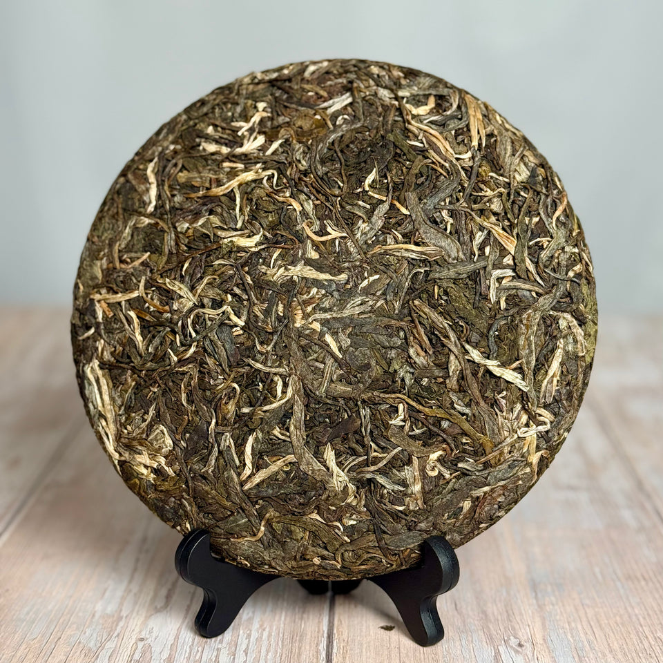 Sheng Pu-erh „Da Xue Shan“, 2015, aus Yunnan