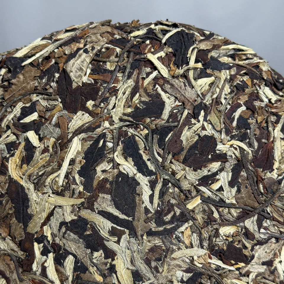 Weißer Pu-Erh Yue Guang Bai „Moon Beauty“, 2018, aus Yunnan