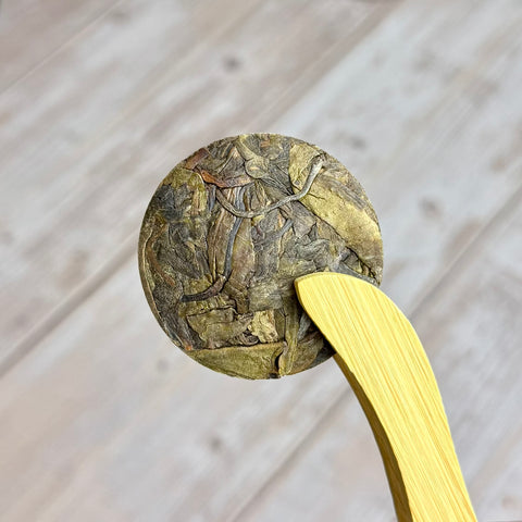 Sheng Pu-erh „Golden Dragon“, aus Yunnan