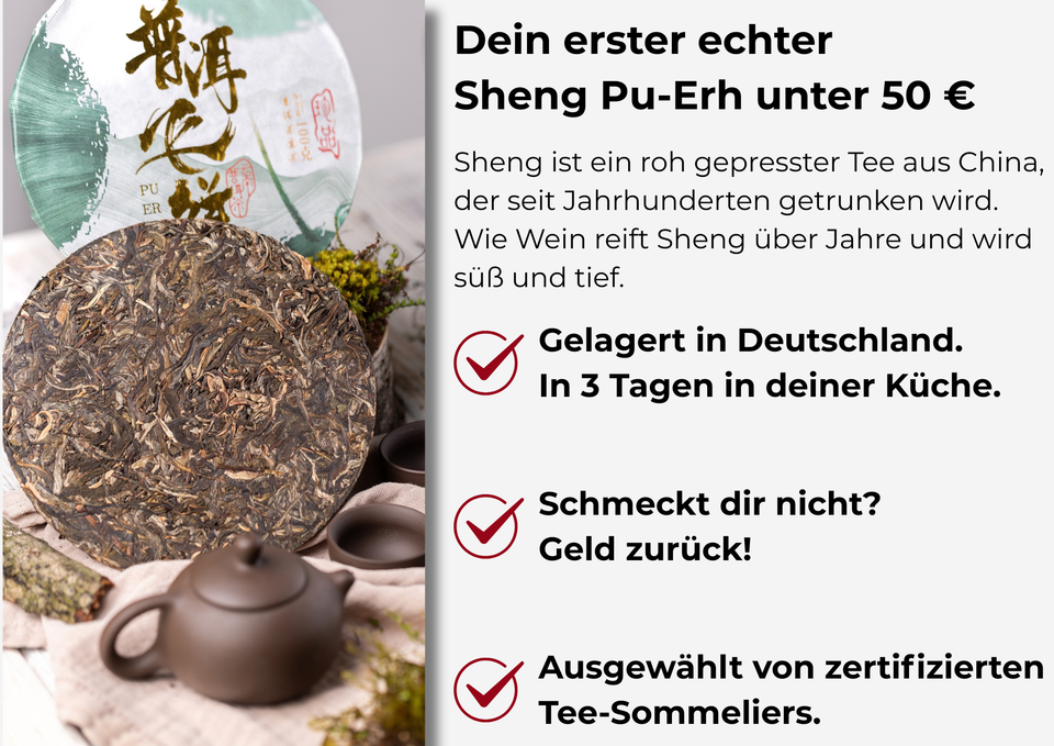 Sheng Pu-Erh-Tee