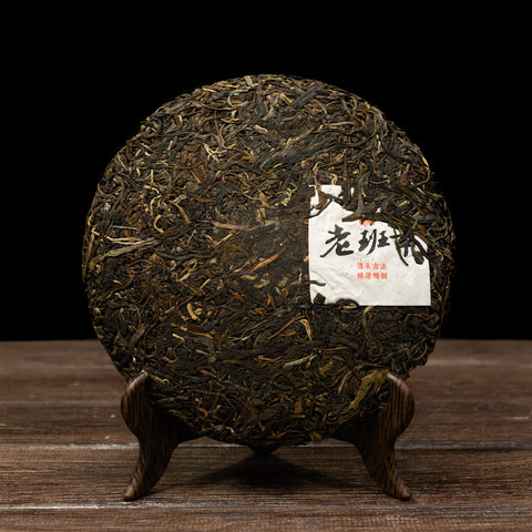 Sheng Pu-erh “Flagship Pick”
