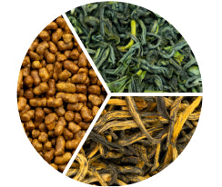 
 Abschnitt 5 An Mitglied werden