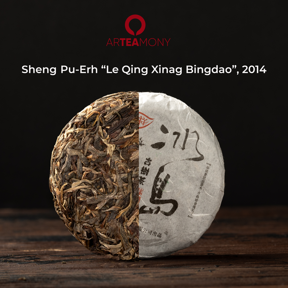 
Sheng Pu-Erh Tee - Starter Set. Drei Gesichter von Yunnan Bild 2