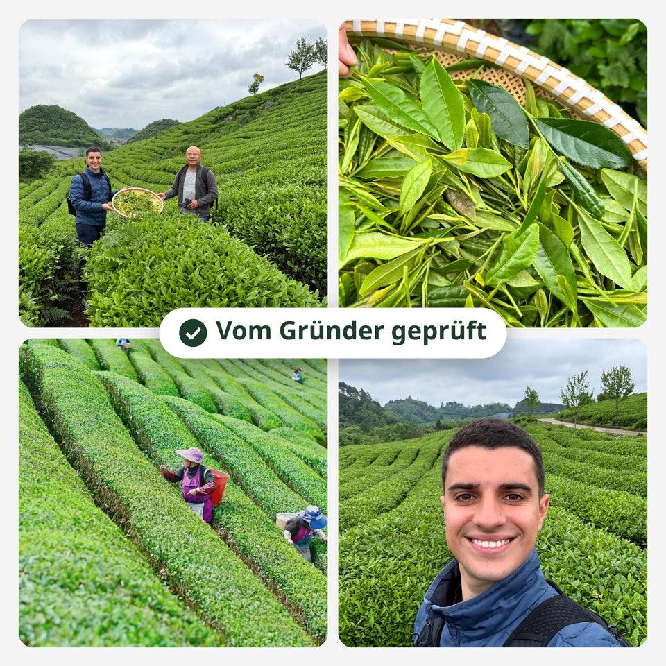 Arteamony-Gründer mit dem Teebauern auf der Matcha-Farm: frische Blätter, Ernte und Teefelder – Vom Gründer geprüft (DE)