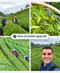 Arteamony-Gründer mit dem Teebauern auf der Matcha-Farm: frische Blätter, Ernte und Teefelder – Vom Gründer geprüft (DE)