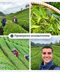 Основатель Arteamony с фермером на плантации матчи: свежие листья, сбор урожая и чайные поля – Проверено основателем (RU)