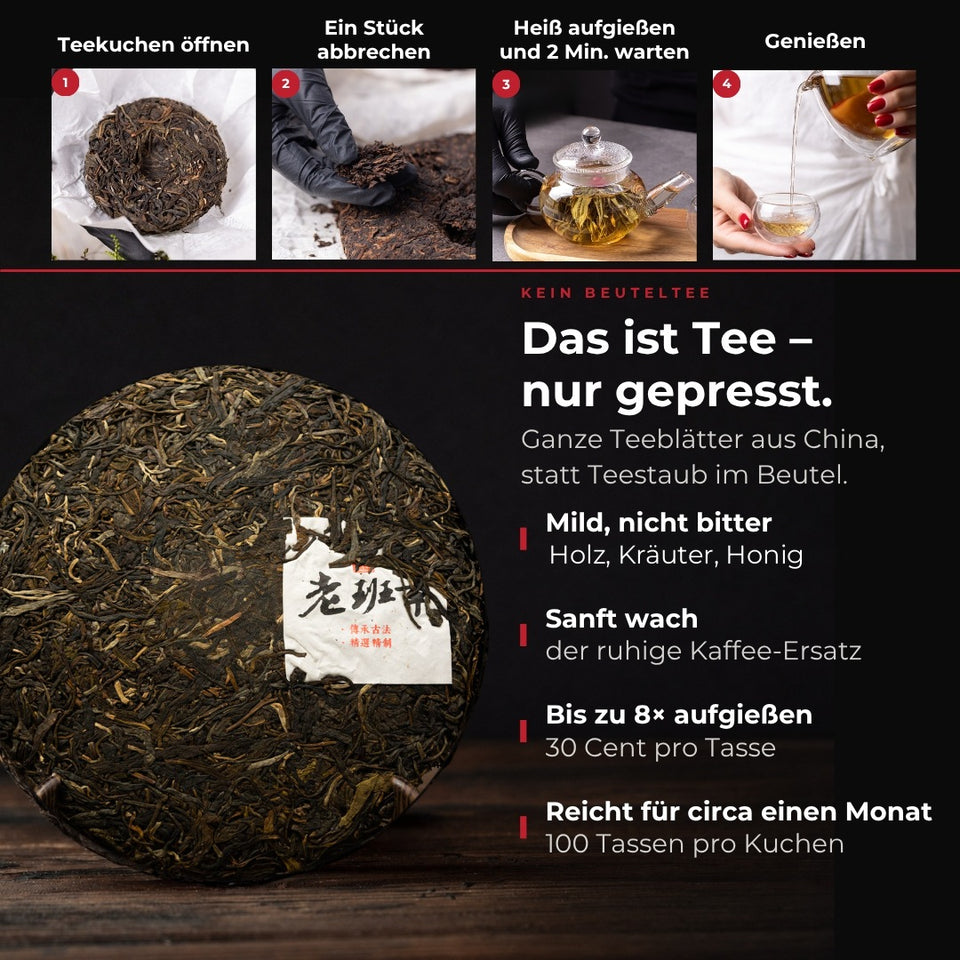 Sheng Pu-erh Tea "Chun Shan", 2013, from Yunnan – Infografik: Das ist Tee, nur gepresst (DE)