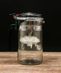 5003 - Image 1 (original order: 1.jpg)