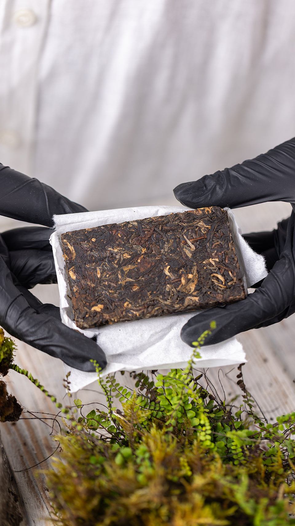 pr103 - Image 3 (original order: 3.JPG)