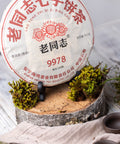 pr264 - Image 3 (original order: 3.JPG)