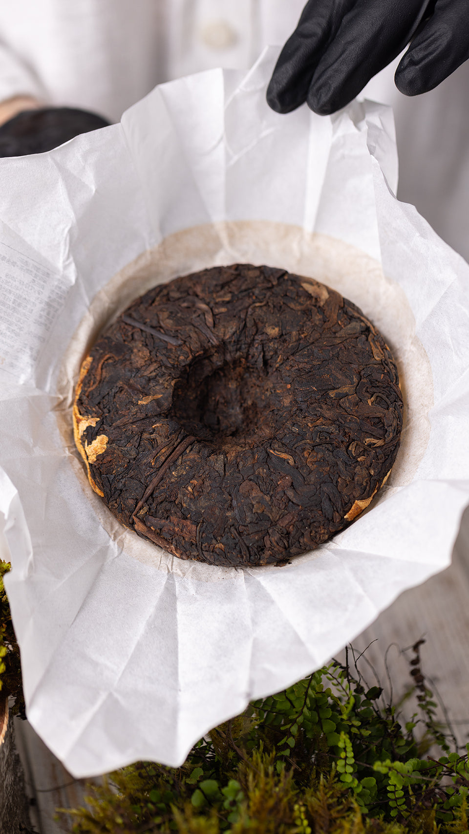 pr05 - Image 4 (original order: 4.JPG)