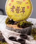 pr76 - Image 4 (original order: 4.JPG)
