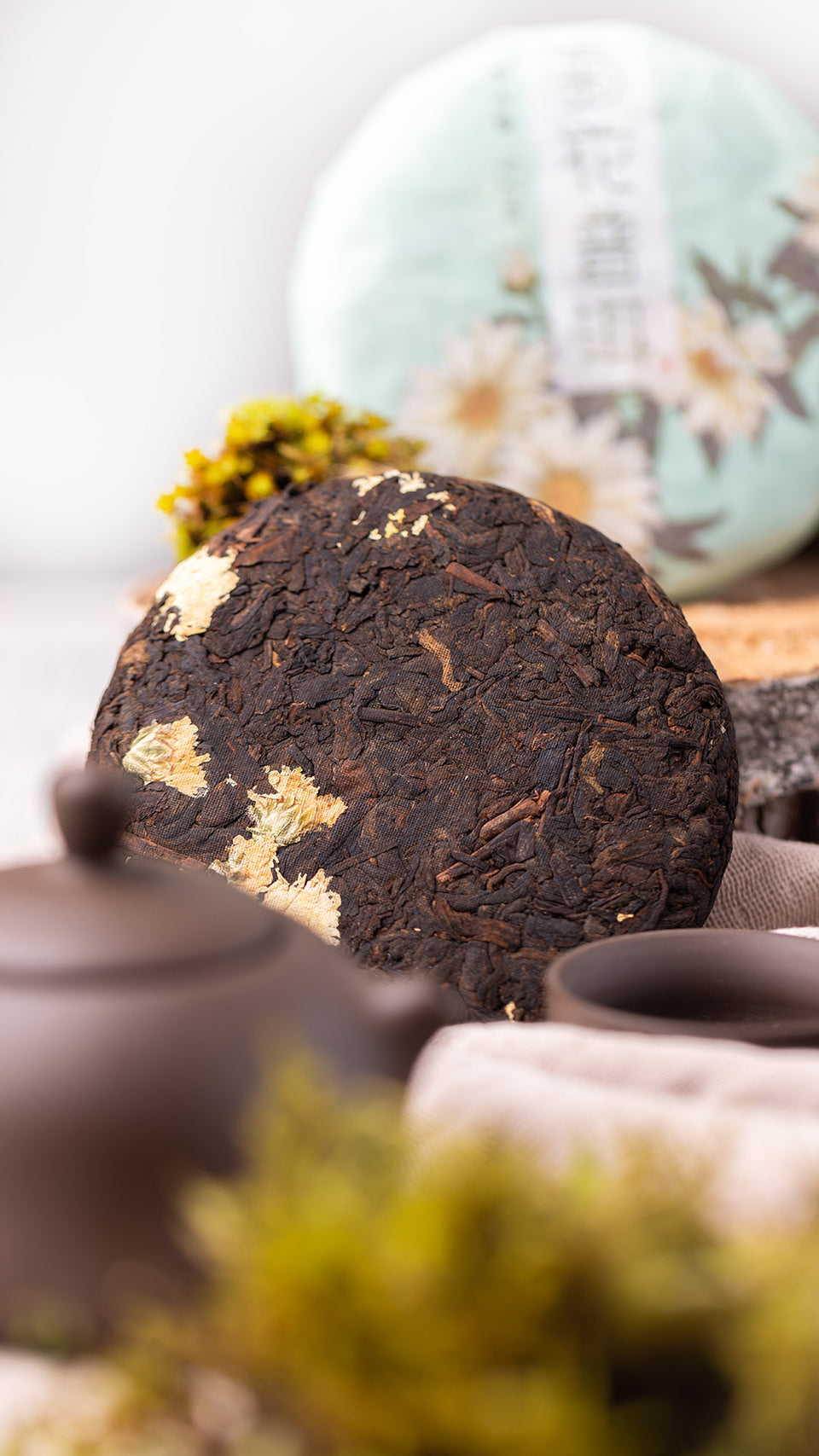 pr72 - Image 4 (original order: 4.JPG)