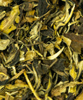 h7 - Image 1 (original order: 1.jpg)
