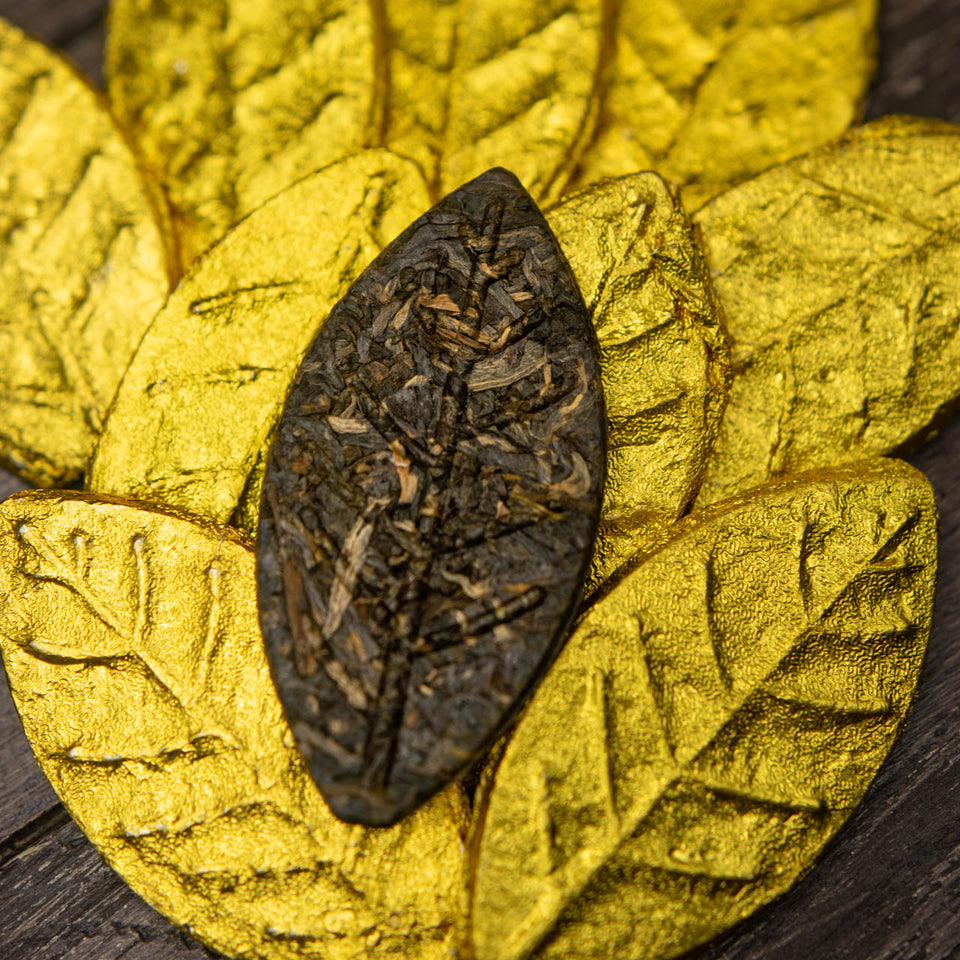 t155 - Image 1 (original order: DSC_9558 (3).jpg)