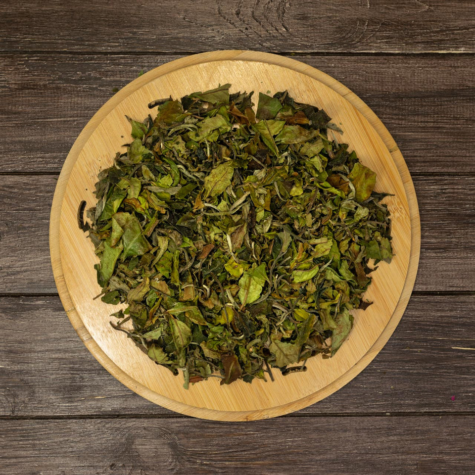 h1 - Image 2 (original order: 2.jpg)