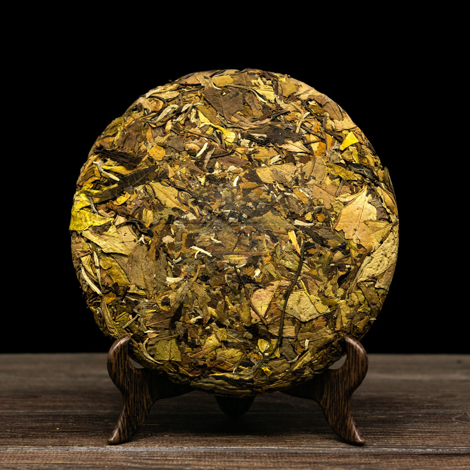 603 - Image 2 (original order: 2.jpg)