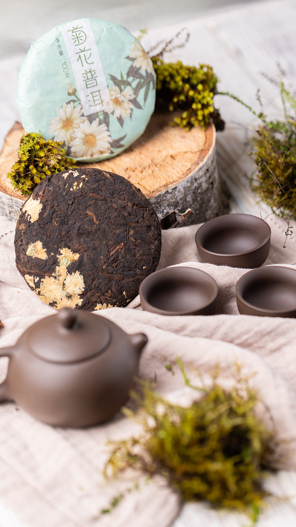 pr72 - Image 5 (original order: 5.JPG)