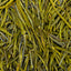 l015 - Image 1 (original order: 1.jpg)