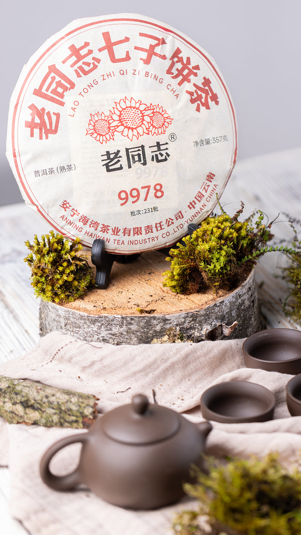 pr264 - Image 4 (original order: 4.JPG)