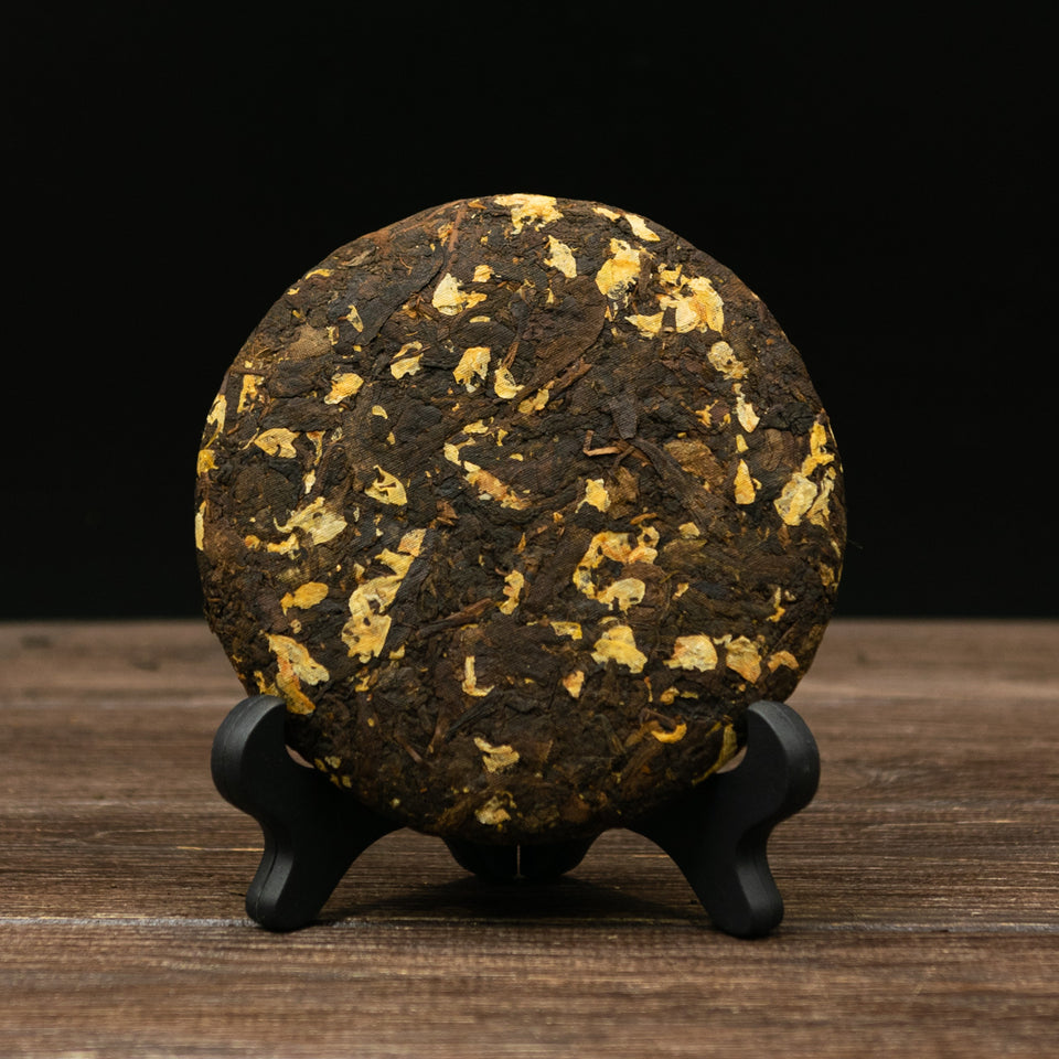 pr70 - Image 2 (original order: 2.jpg)