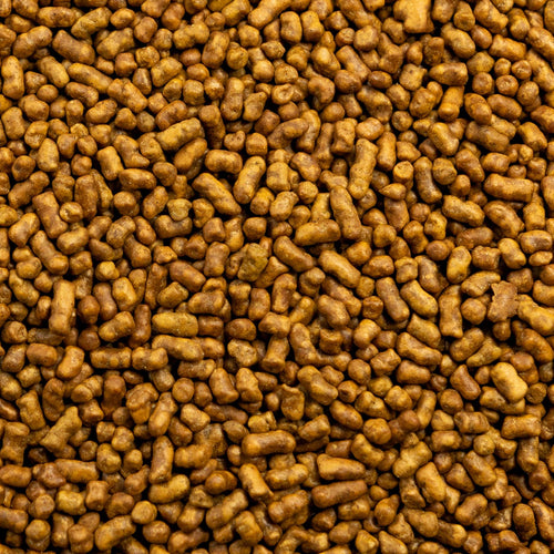 303 - Image 1 (original order: 1.jpg)