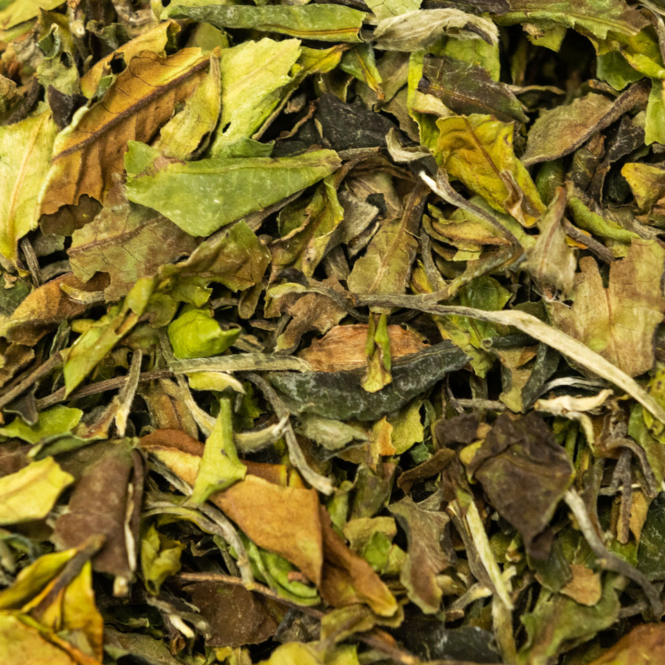 h1 - Image 1 (original order: 1.jpg)