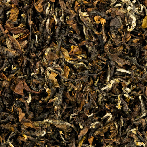 y01 - Image 1 (original order: 1.jpg)