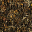 y01 - Image 1 (original order: 1.jpg)