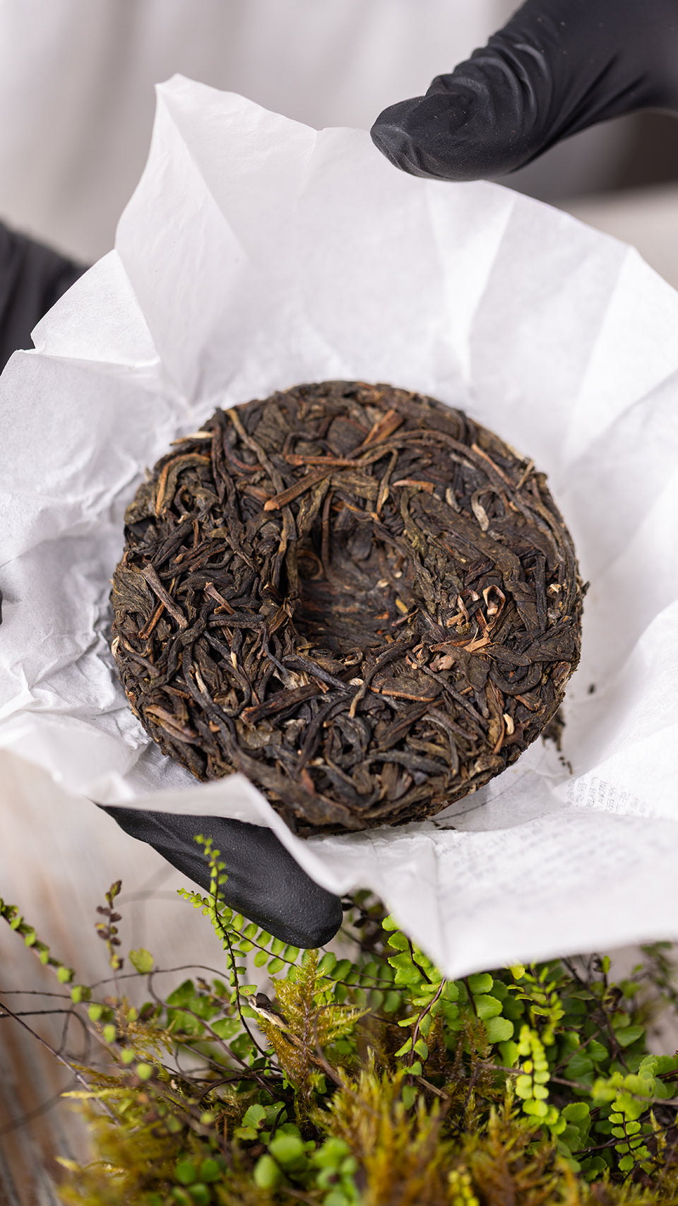 pr701 - Image 3 (original order: 3.JPG)