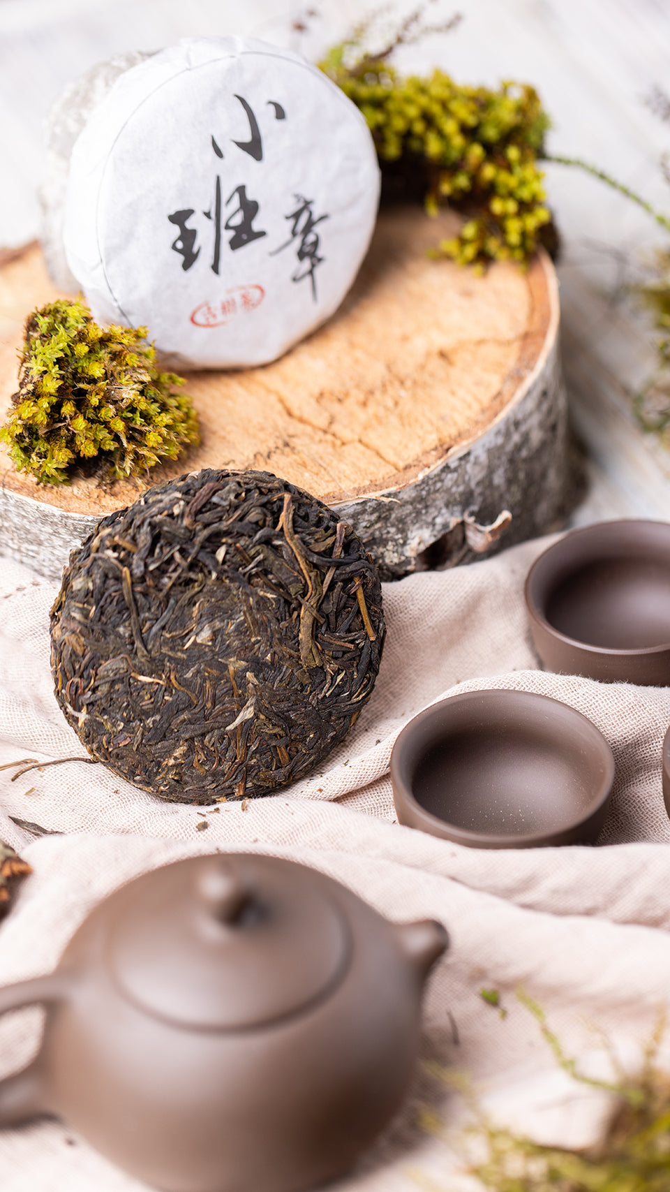 pr701 - Image 5 (original order: 5.JPG)