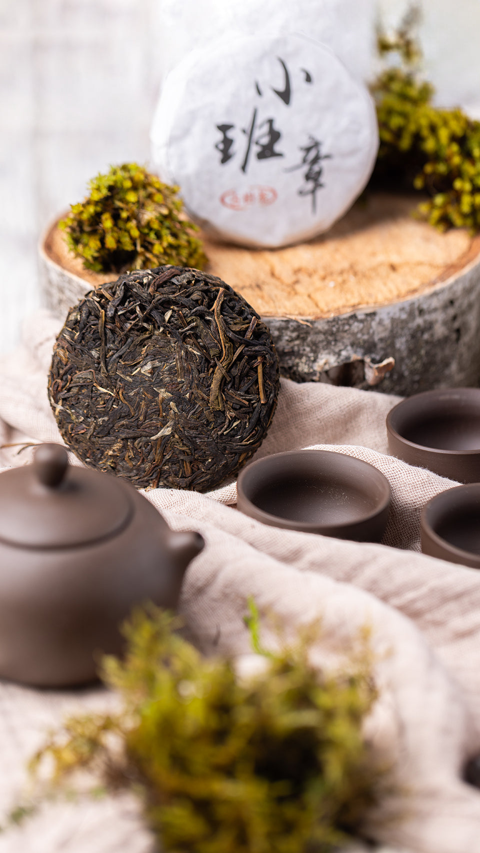 pr701 - Image 4 (original order: 4.JPG)