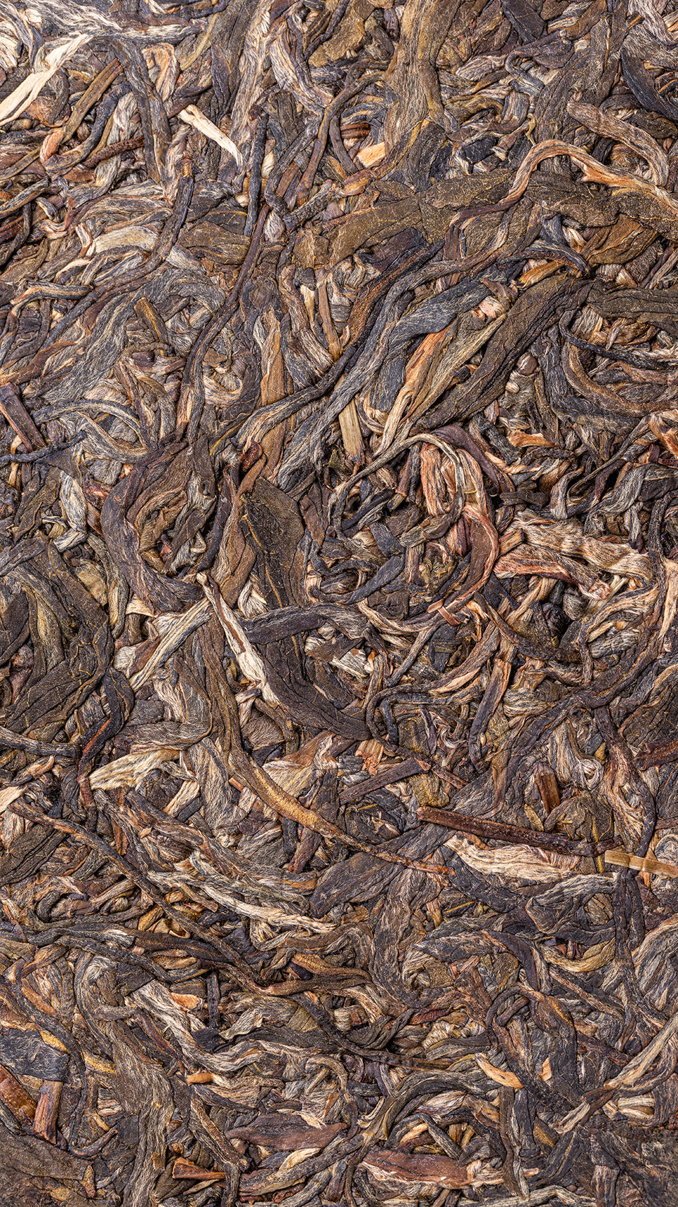 pr26 - Image 3 (original order: 3.JPG)