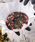 pr711 - Image 3 (original order: 3.JPG)