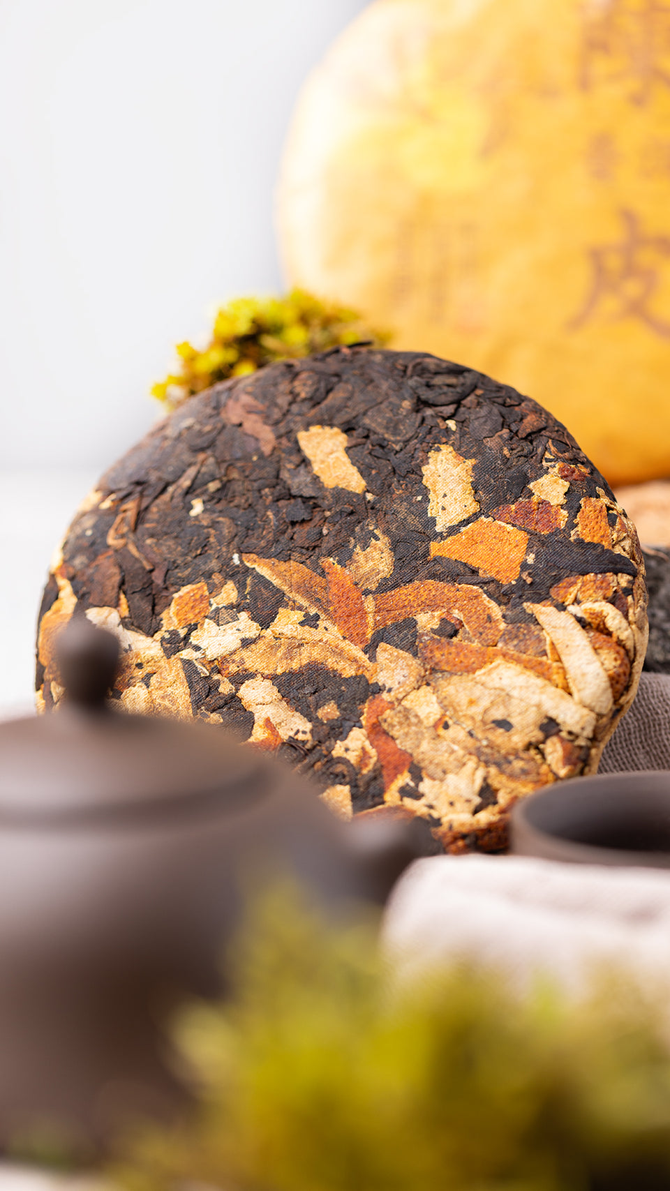 pr05 - Image 5 (original order: 5.JPG)