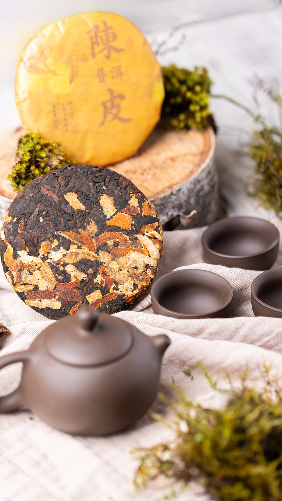 pr05 - Image 3 (original order: 3.JPG)