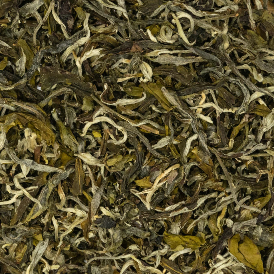 g03 - Image 1 (original order: 1.jpg)