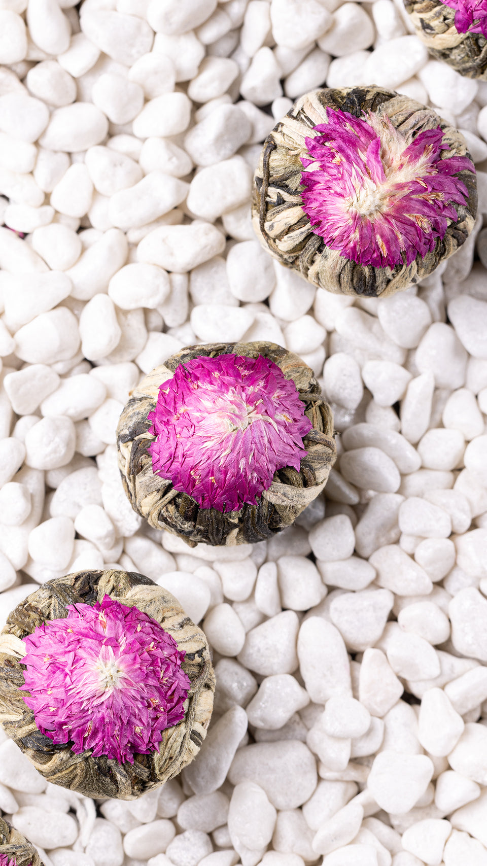 vz06 - Image 1 (original order: 1.JPG)