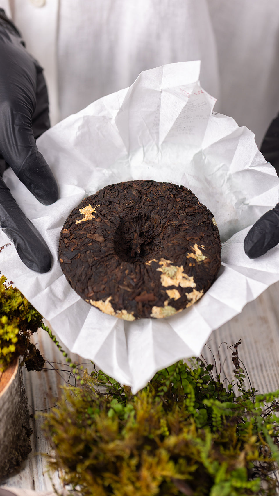 pr72 - Image 3 (original order: 3.JPG)