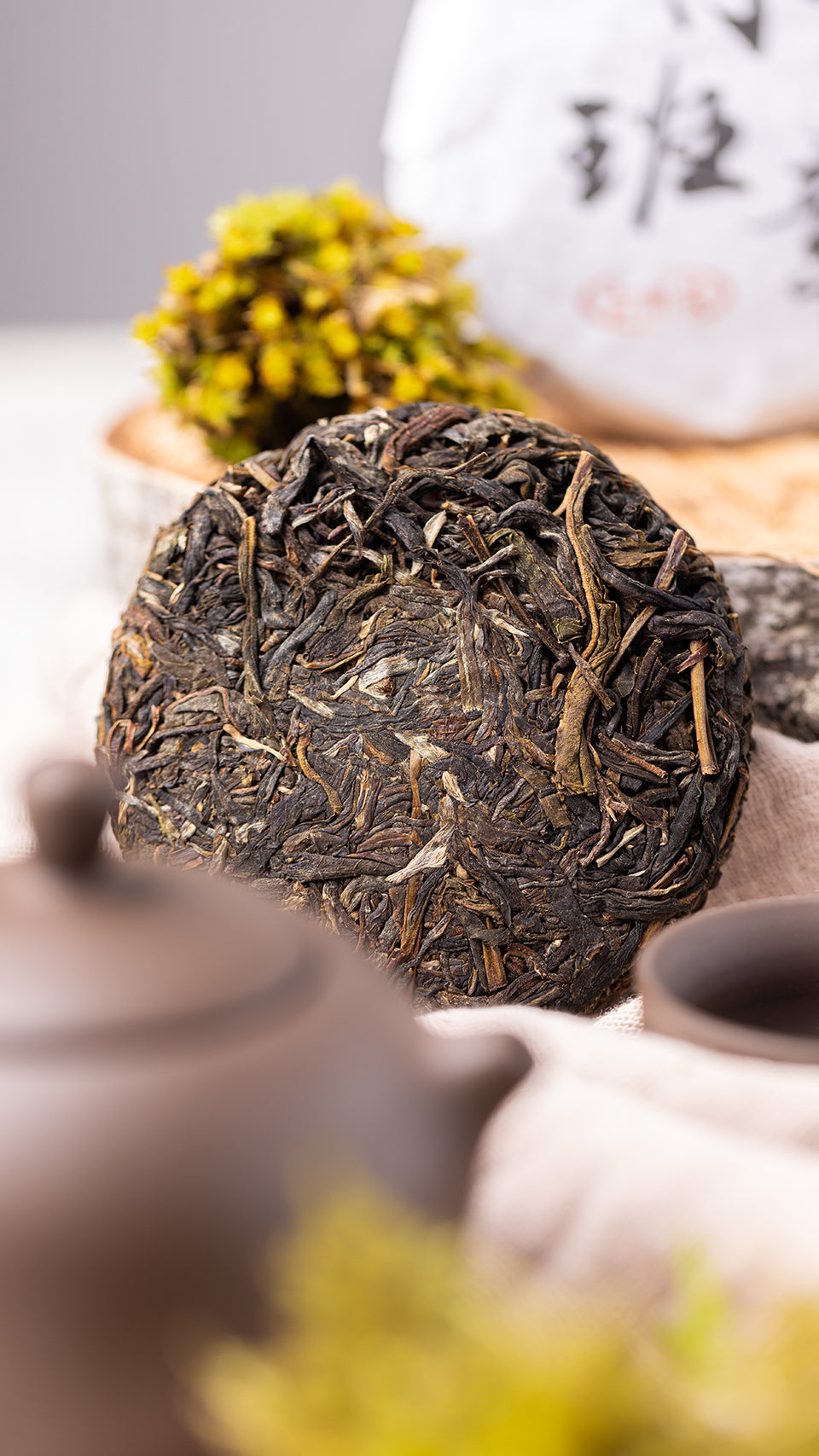 pr701 - Image 2 (original order: 2.JPG)