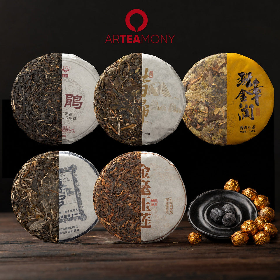 Deine Tee-Reise durch Yunnan – 5 Pu-Erh Kuchen und ein Shou-Harz: Yu Lian, Xi Gui, Yi Wu, Ban Zhang, Purple Beauty, Sea Treasure